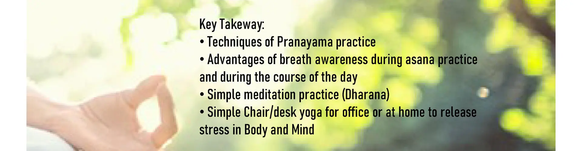 THE YOGA PLACE ( YOGA CLASSES - BEGINNER/INTERMEDIATE LEVEL)