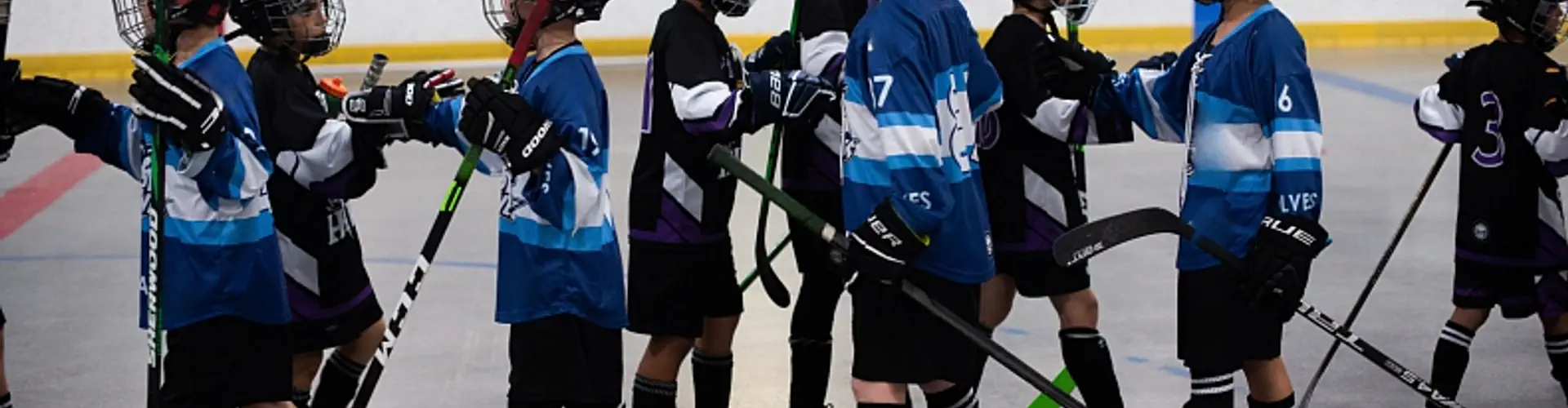 Markham-Stouffville Minor Ball Hockey League