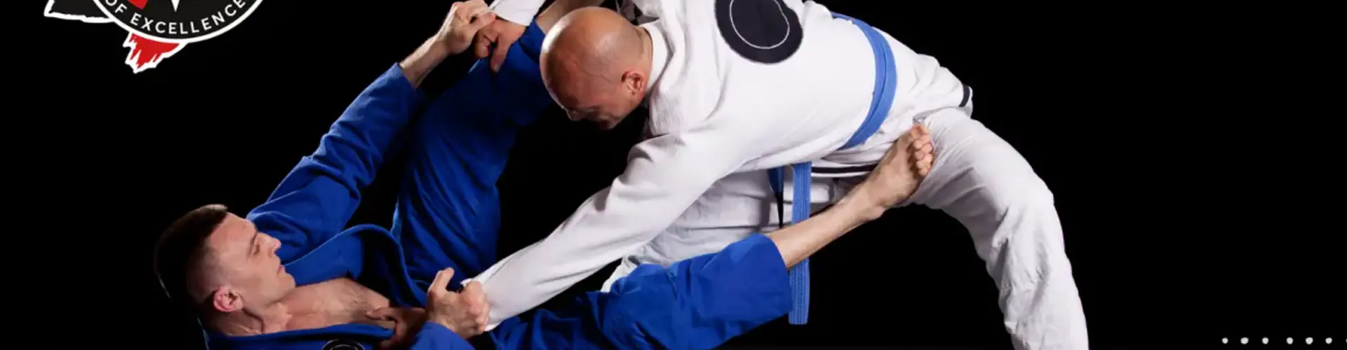 Martial Arts Centres of Excellence West Bromwich