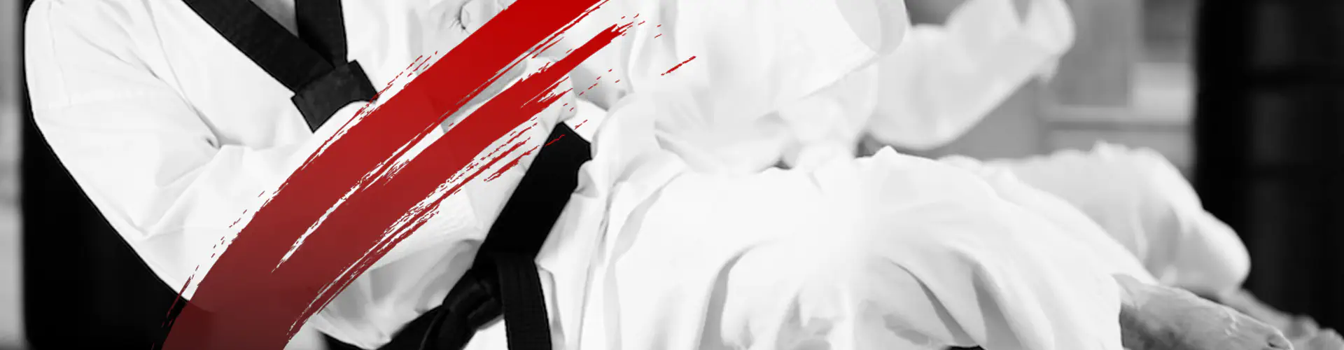 Taekwondo World Martial Arts School