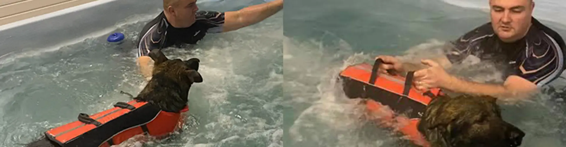 Bankhall K9 Swim Hydrotherapy
