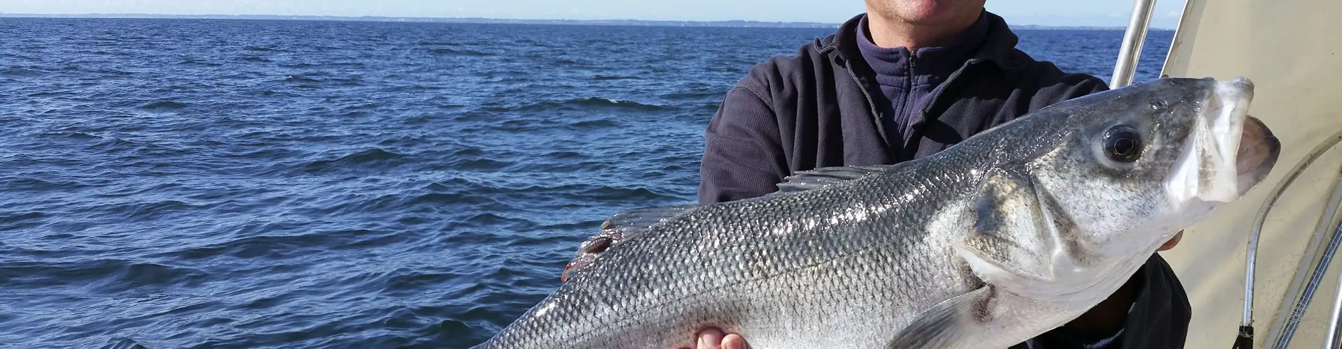 TOURSDILES guide de pêche en mer