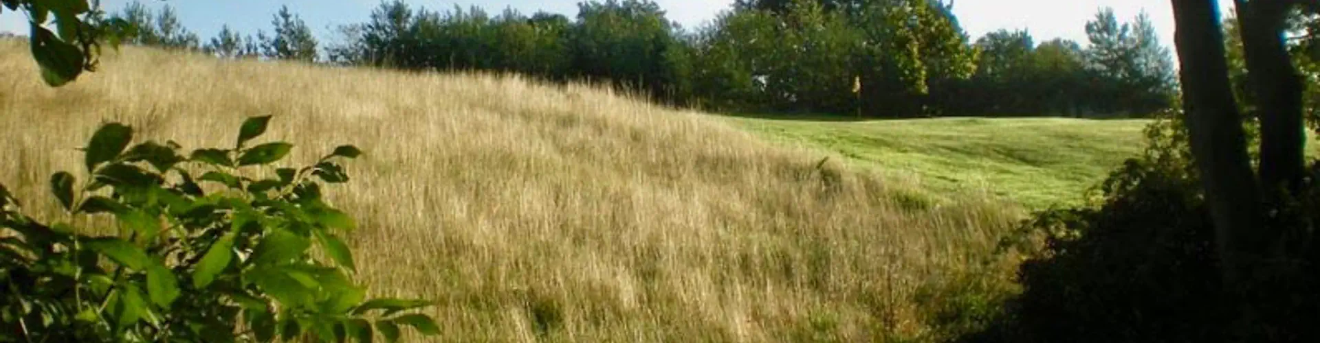 Golfbug - The Wast Hills Golf Centre