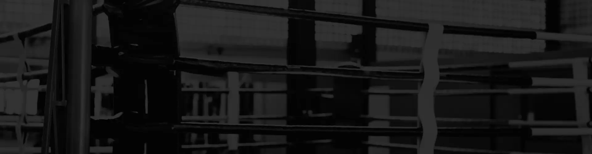 Spartan Boxing Fitness - Spencer Dock