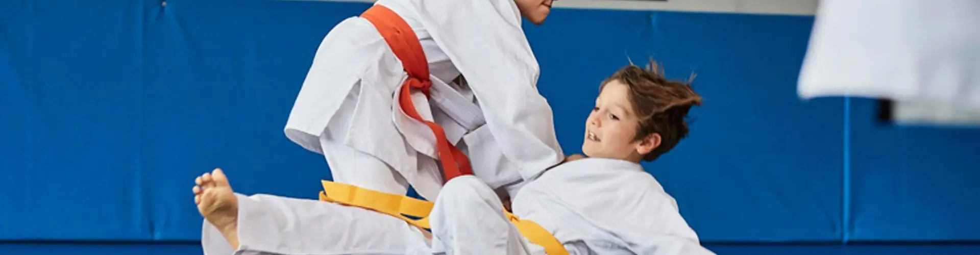 Troyes Aube Judo