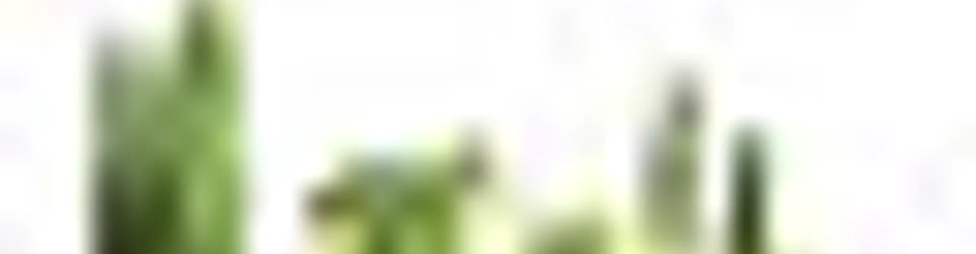 La Dimora Retirement Resort at Hidden Valley