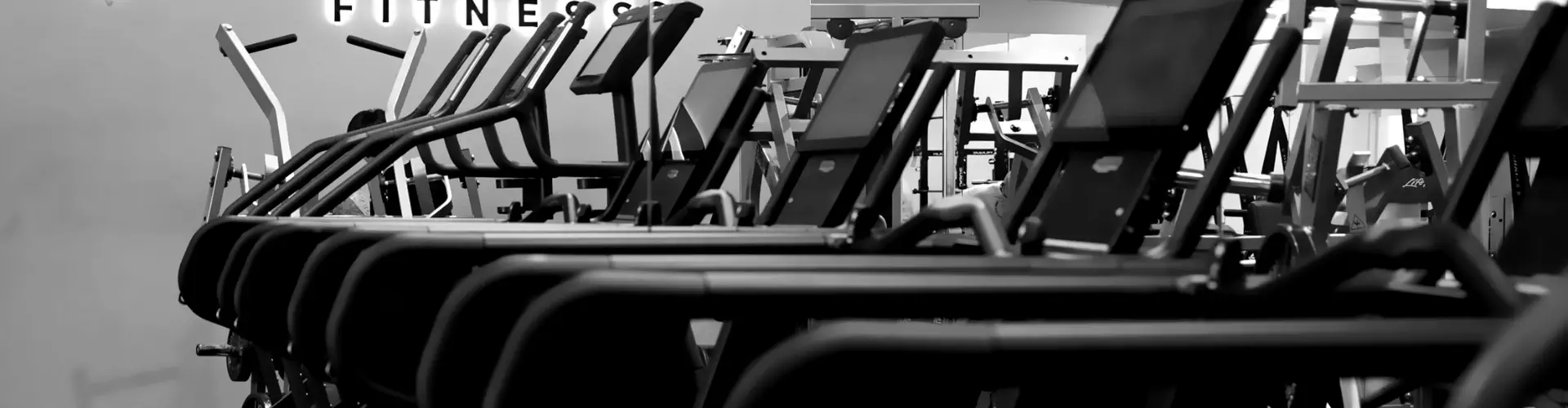 Steed Fitness