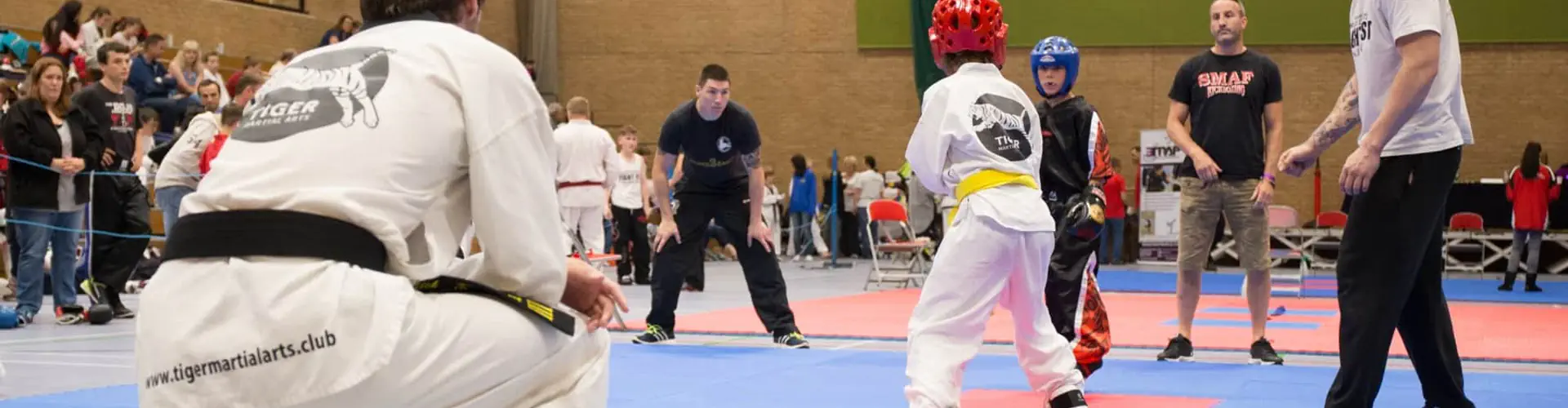 Tiger Martial Arts  Freestyle Tae Kwon-Do Batheaston