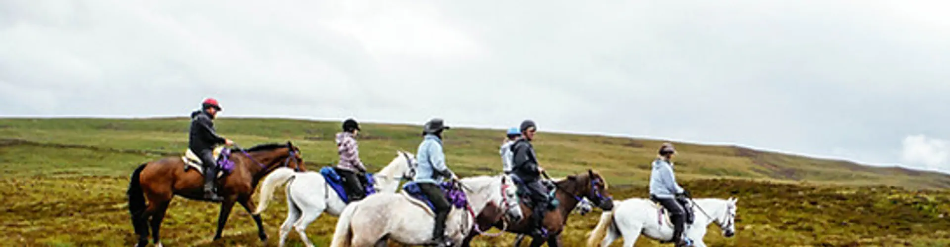 Highlands Unbridled Trail Riding and Trekking Centre