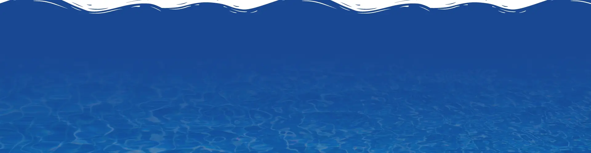 The Aqua Life Swim Academy