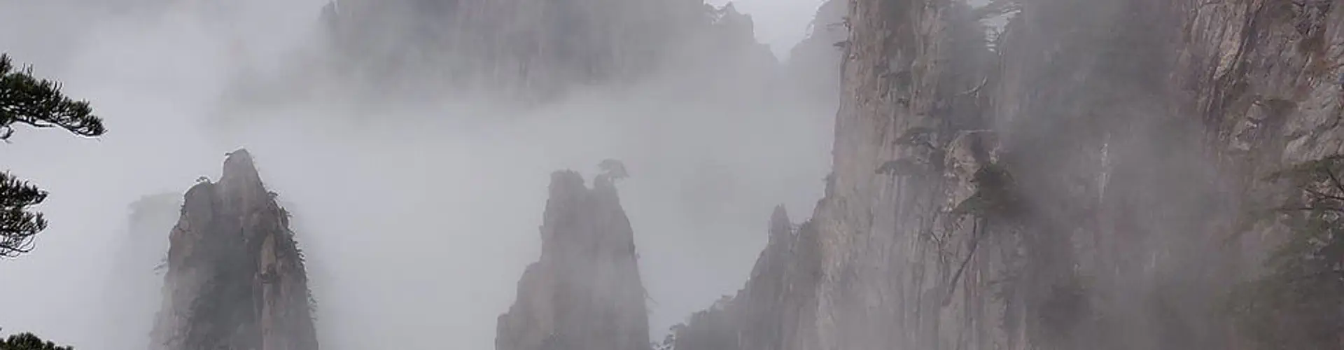 Tao Yin Arts