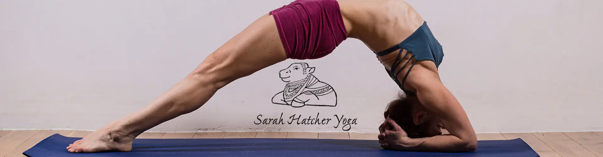 David Garrigues Intermediate Ashtanga Yoga Workshop