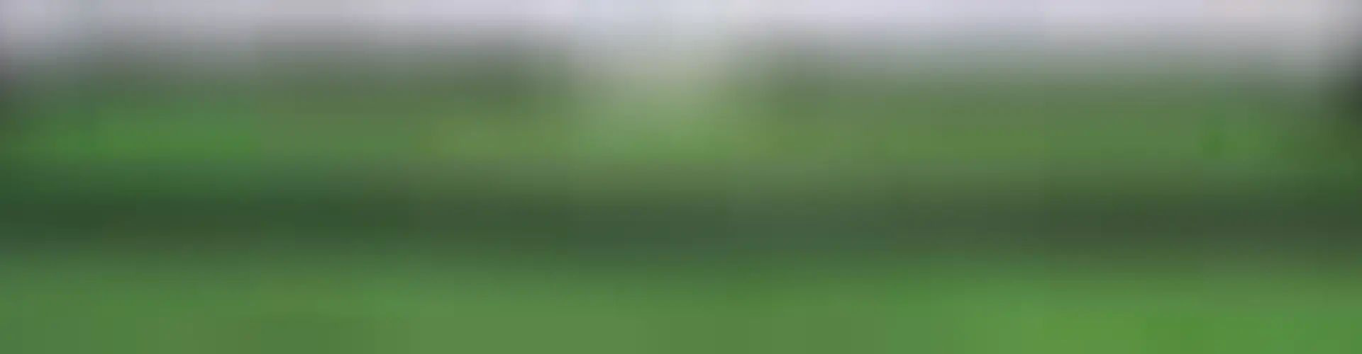 FAST Football Academy