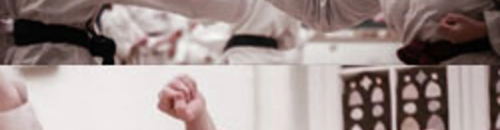 Kata & Kumite training