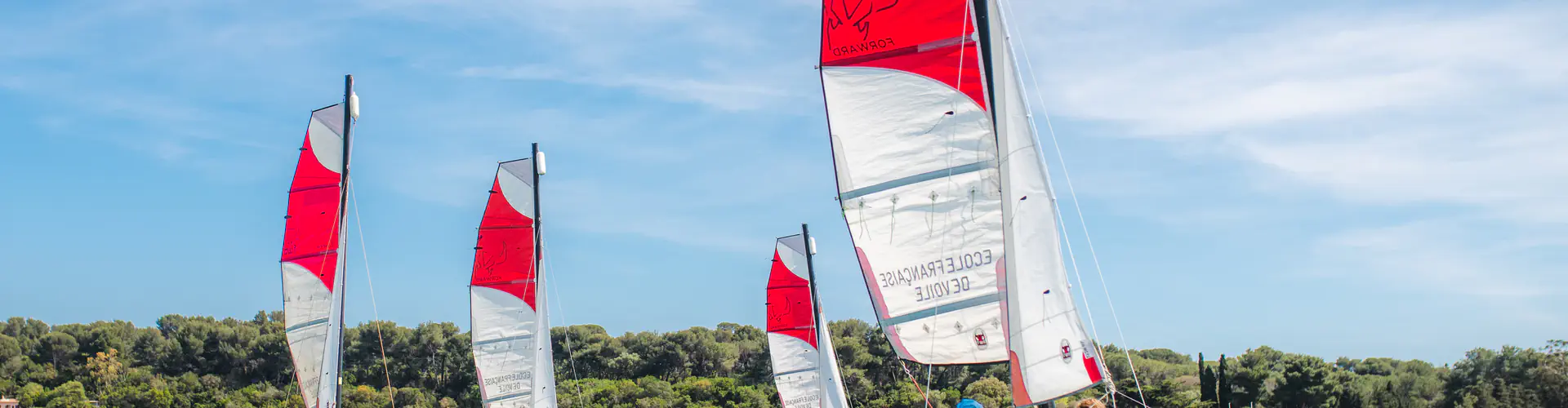 Stage de planche à voile pour adultes