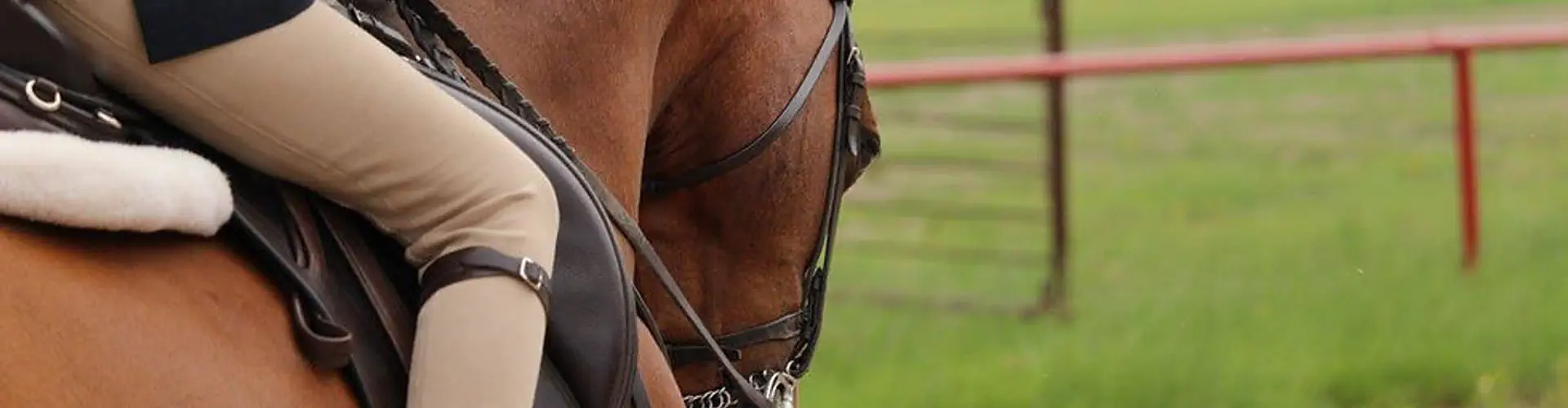 Rogers Riding Academy