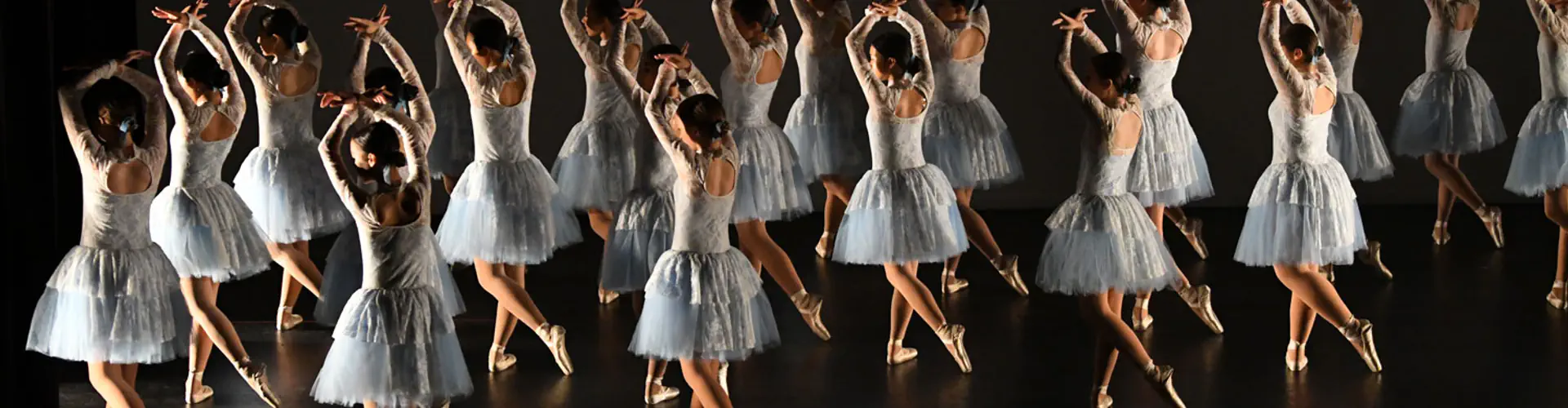 Dance Encore Performing Arts Studio