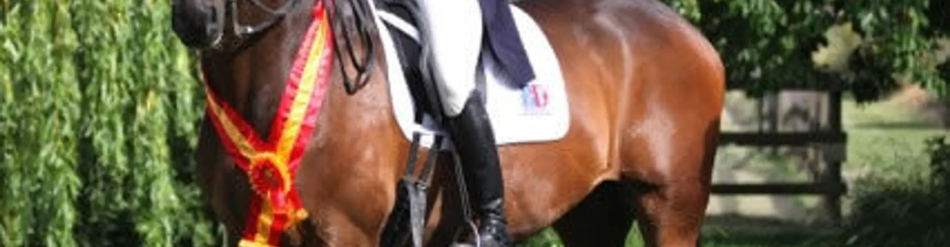 College Farm Equestrian Centre