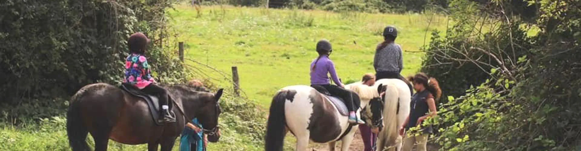 Mottingham Farm Riding Centre