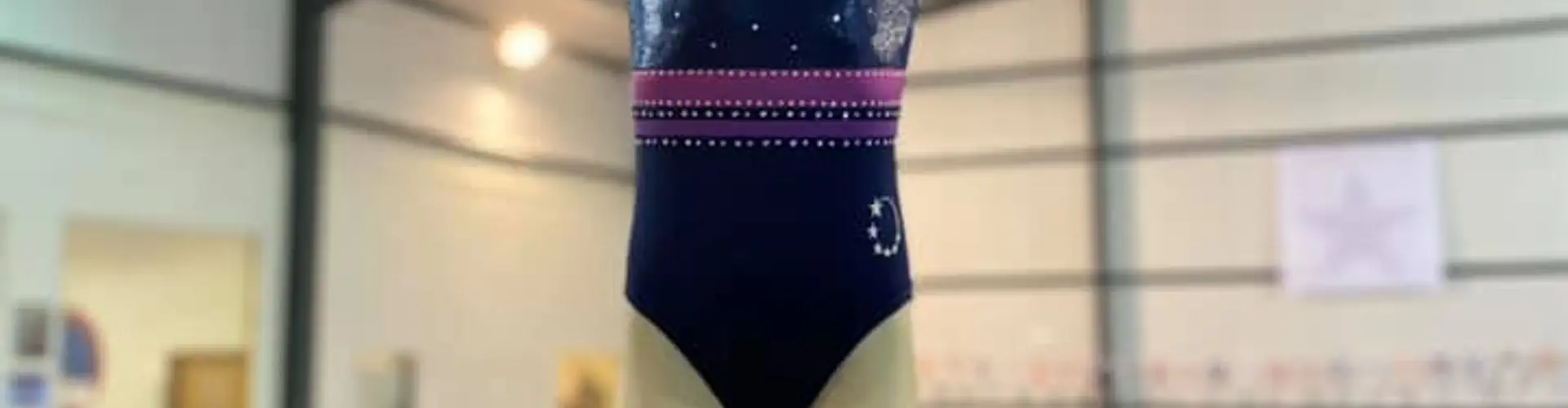 The Norfolk Academy of Gymnastics