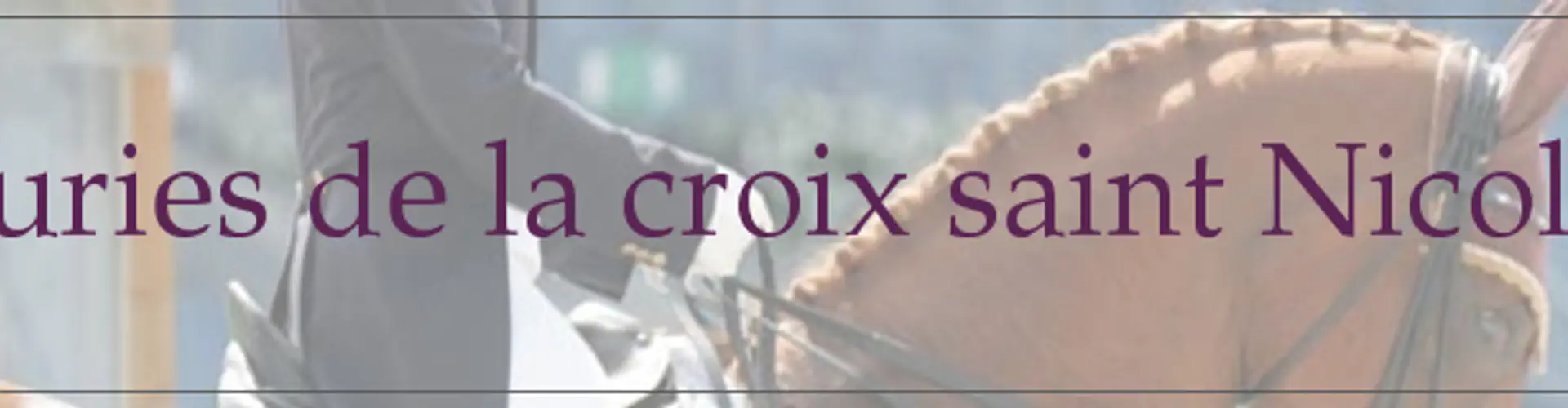 ECURIES DE LA CROIX ST NICOLAS