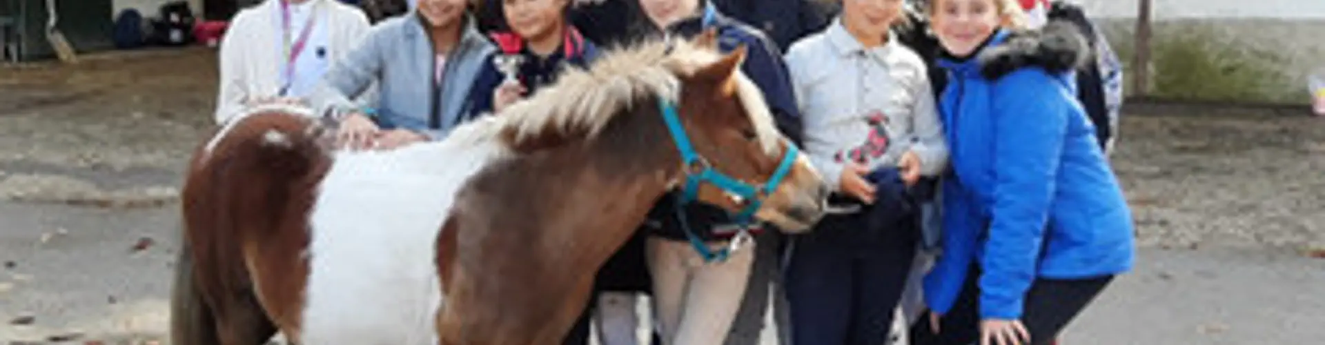Equestrian Center Du Parc De La Poudrerie