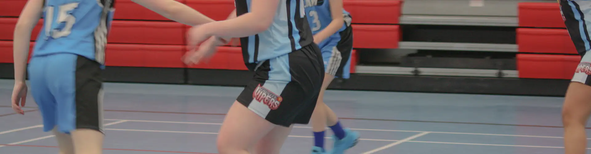 TRI-CITY VIPERS BASKETBALL