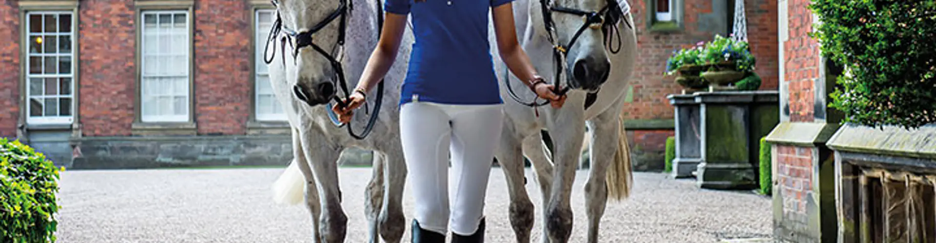 Druids Lodge Polo Club