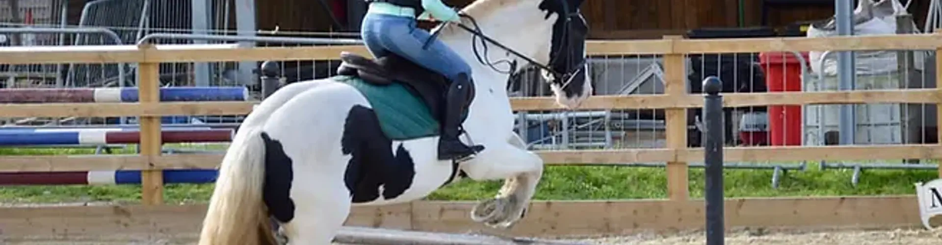 Inadown Farm Riding Stables
