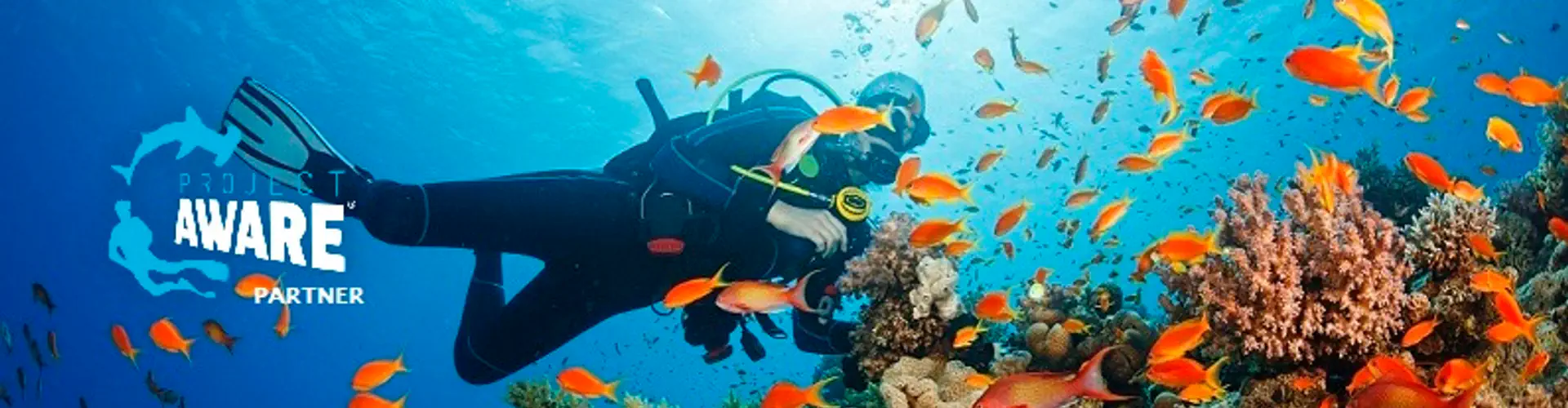 PADI Advanced Open Water Course In Northern Ireland