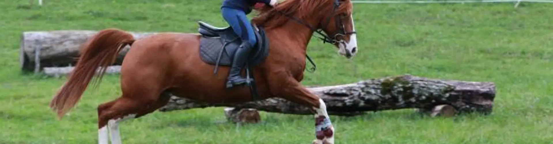 Centre Equestre De Savoie