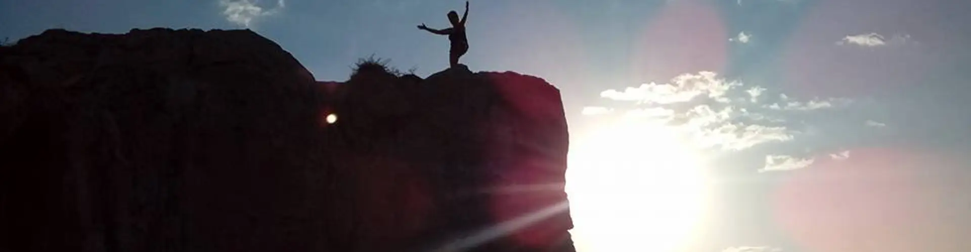 Online Tai Chi and Qigong classes/courses
