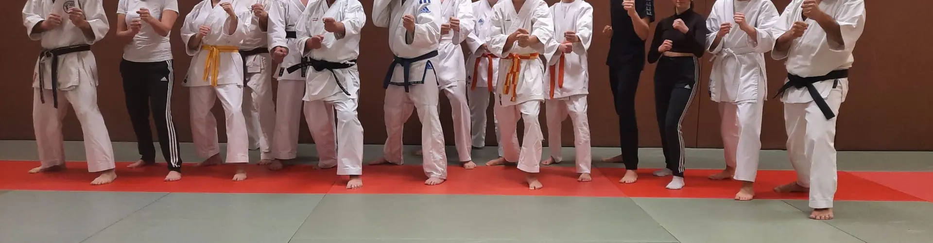 The School Fontenoise Karate