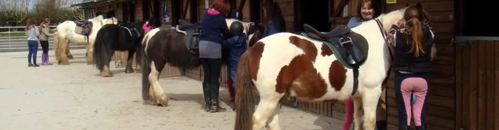Andover Riding School