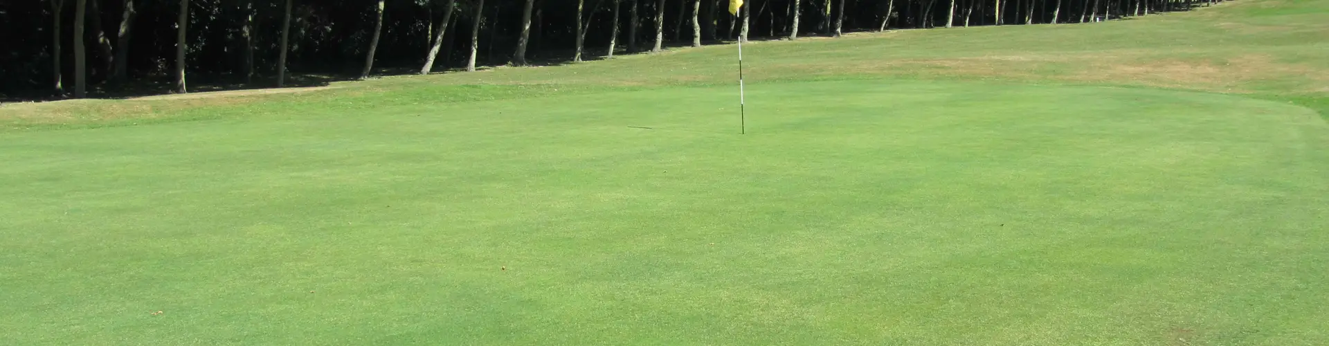 Birtley (Portobello) Golf Club Home Fixtures Results