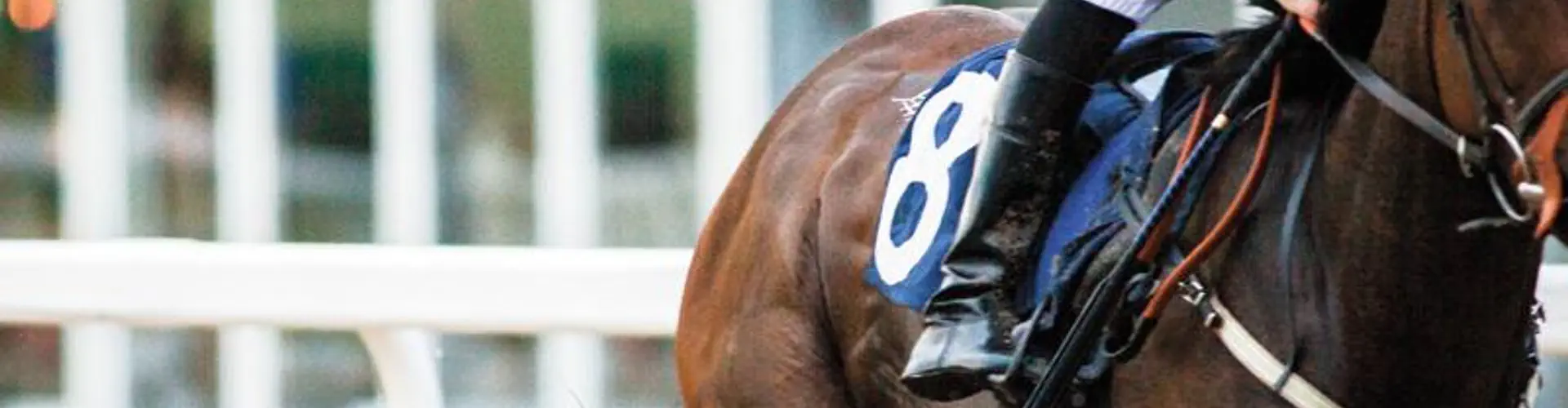 Arena Racing Company