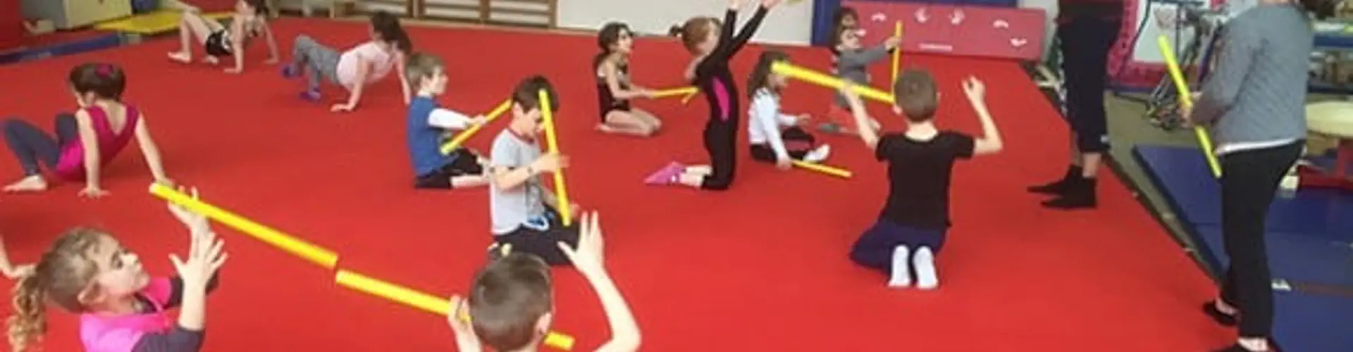 Amicale laïque des Cordeliers - Nancy Dynamique Gym