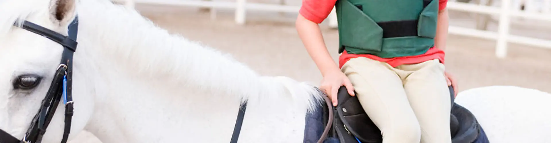 Icknield Livery Yard & Riding School