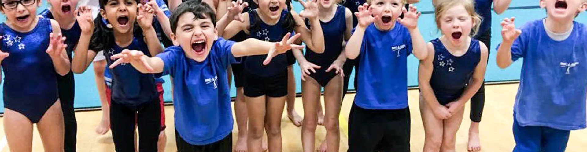 Weybridge Gymnastics Club