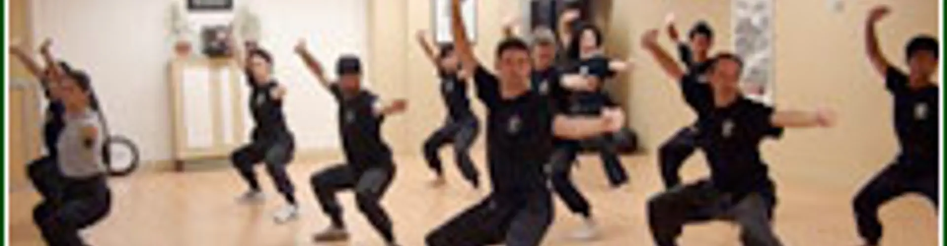 Montreal Kung fu & Tai chi