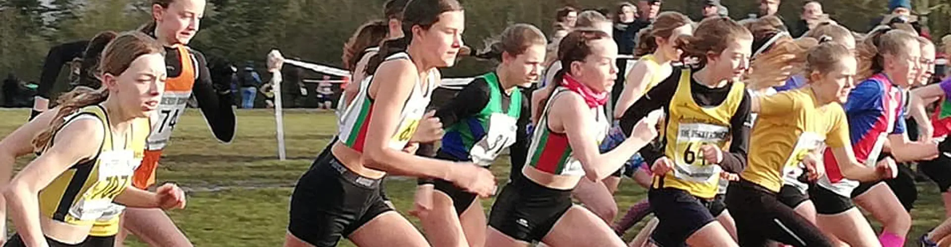 Derbyshire and Nottinghamshire County Championships