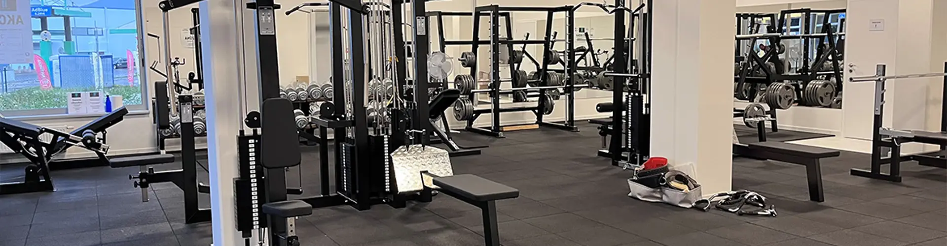 Danies gym