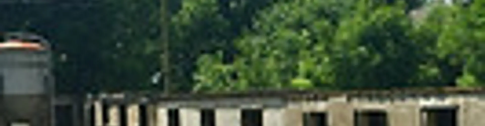 Shay Lane Stables