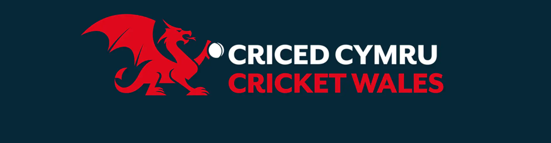 Cricket Wales