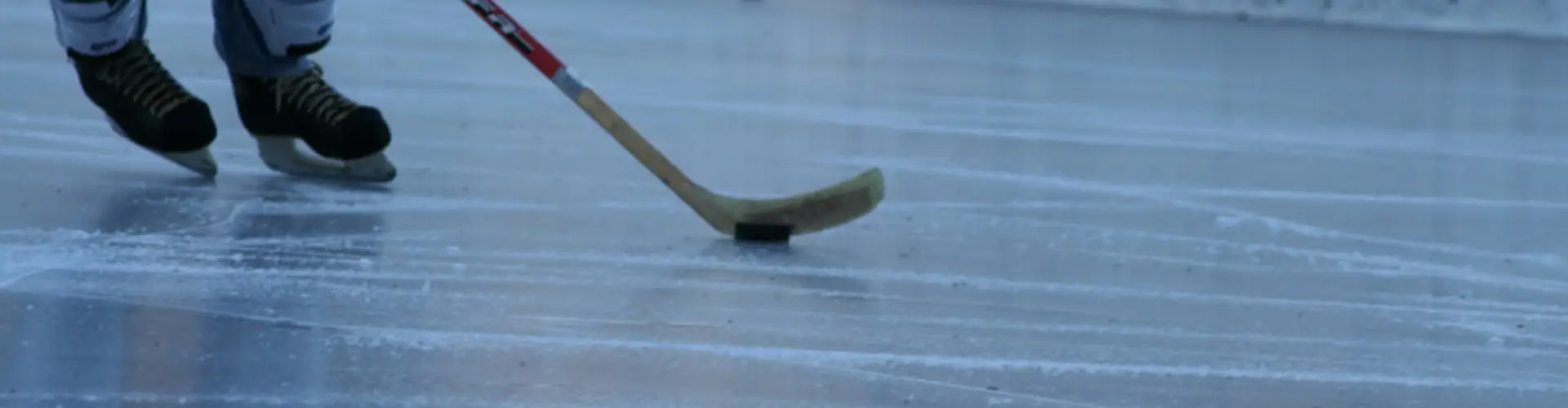 Camrose Minor Hockey