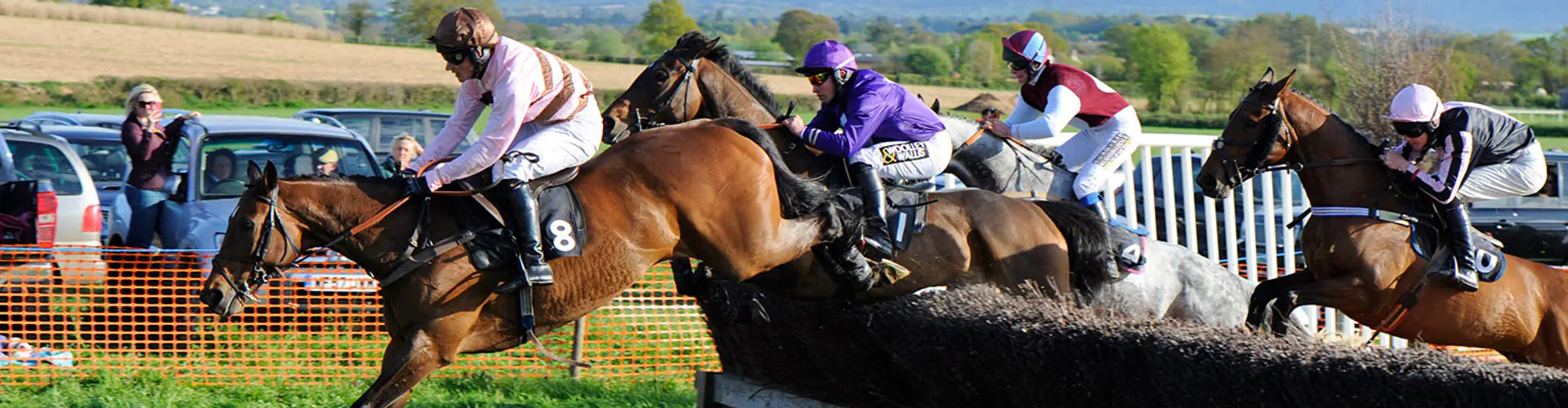 Wessex Area Point to Point