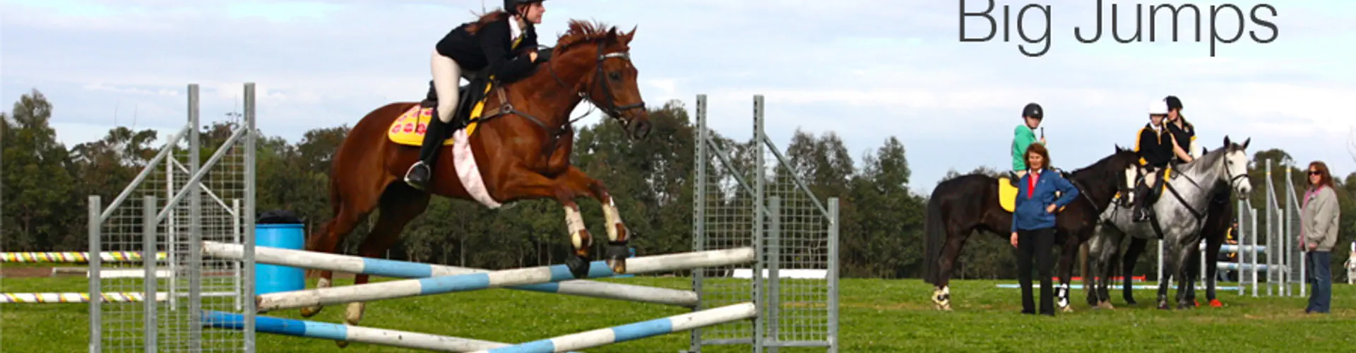 Mounted Games and Team Sporting Event