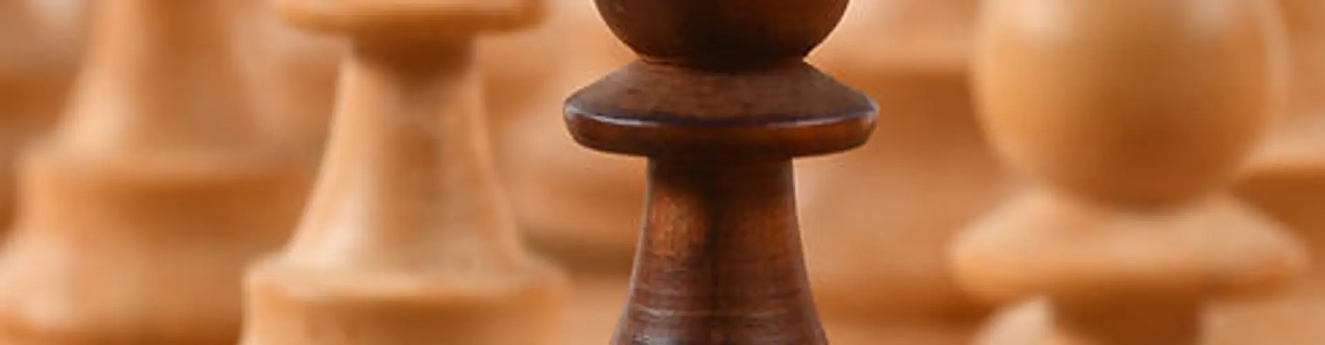 Chess lessons in Etobicoke