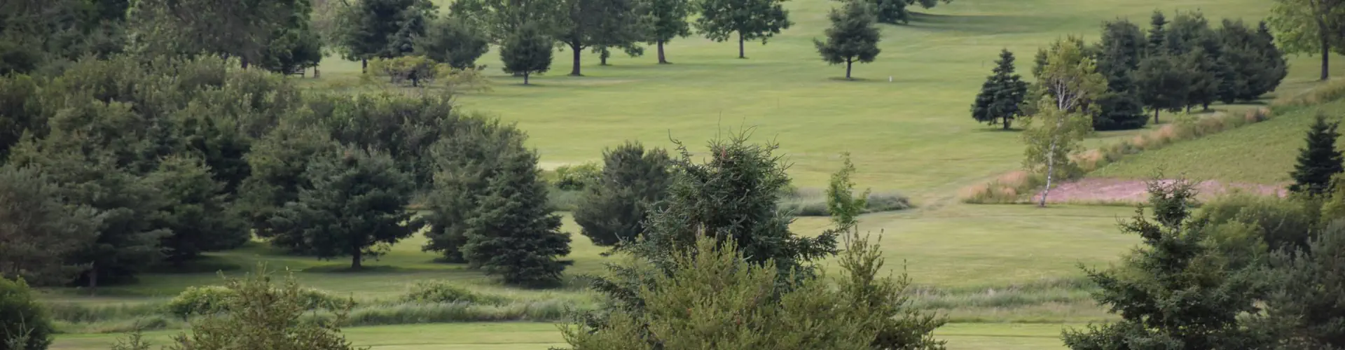Brookfield Golf & Country Club
