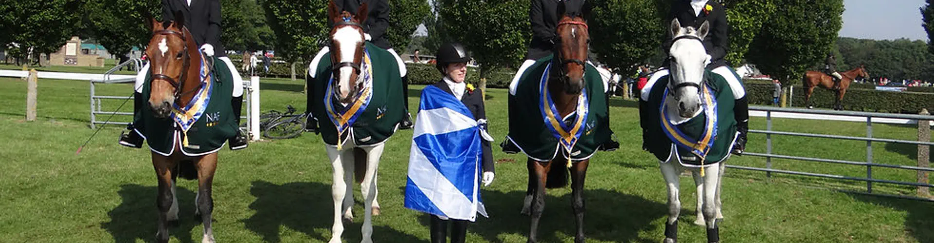 Ladyleys Equestrian